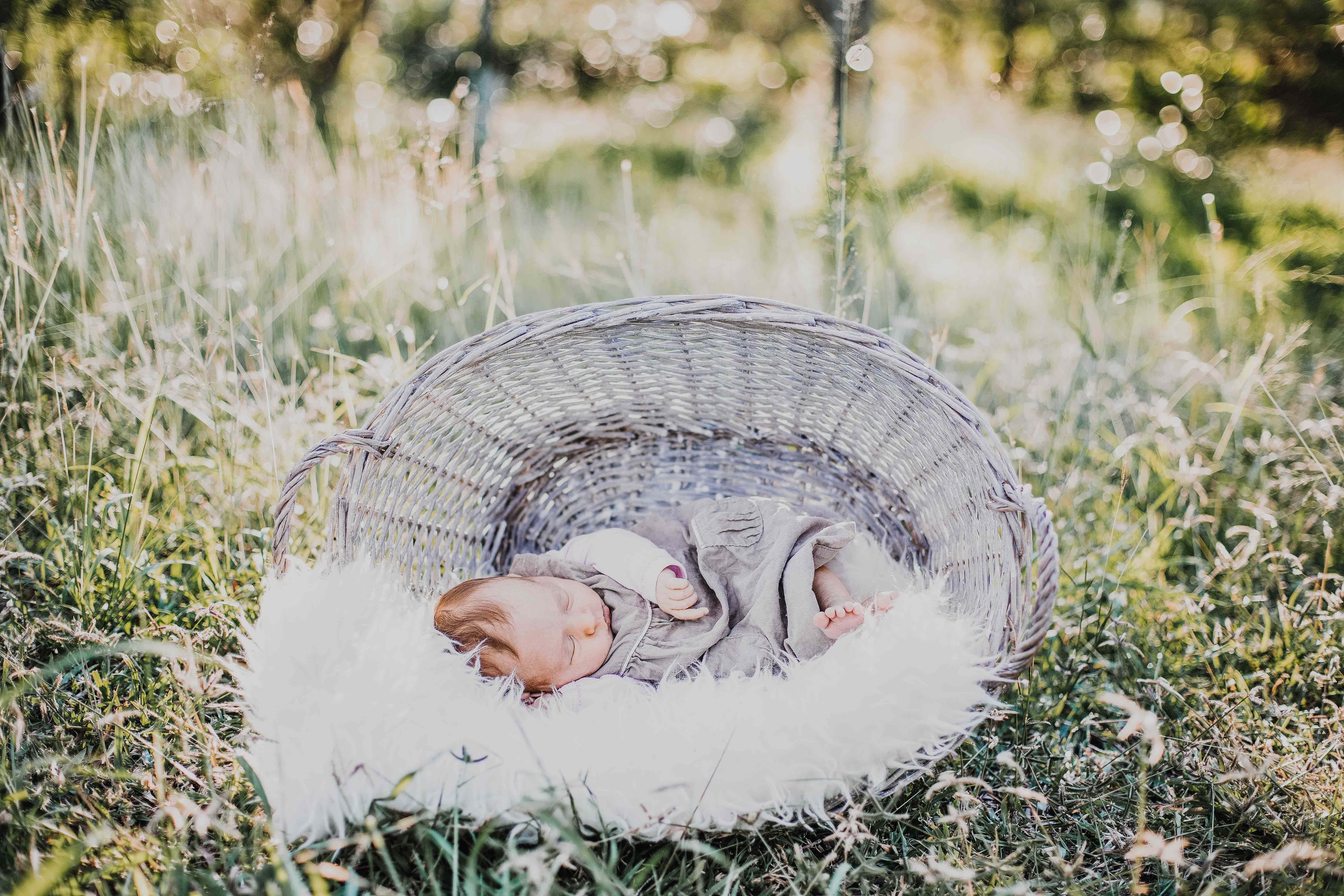 bébé est posé endormi dans un panier en osier, dans l'herbe