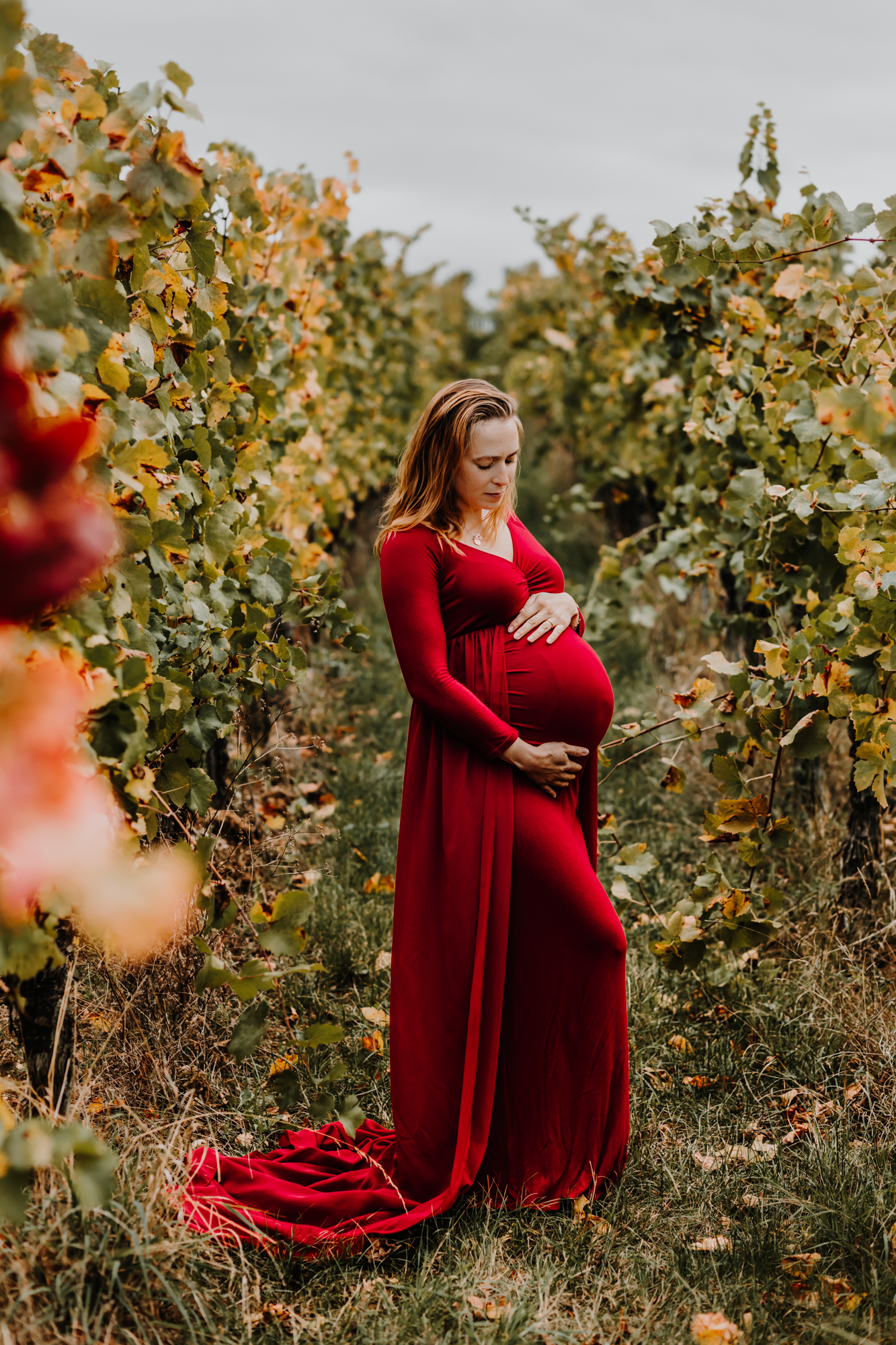 femme enceinte dans une robe rouge au milieu des vignes en automne