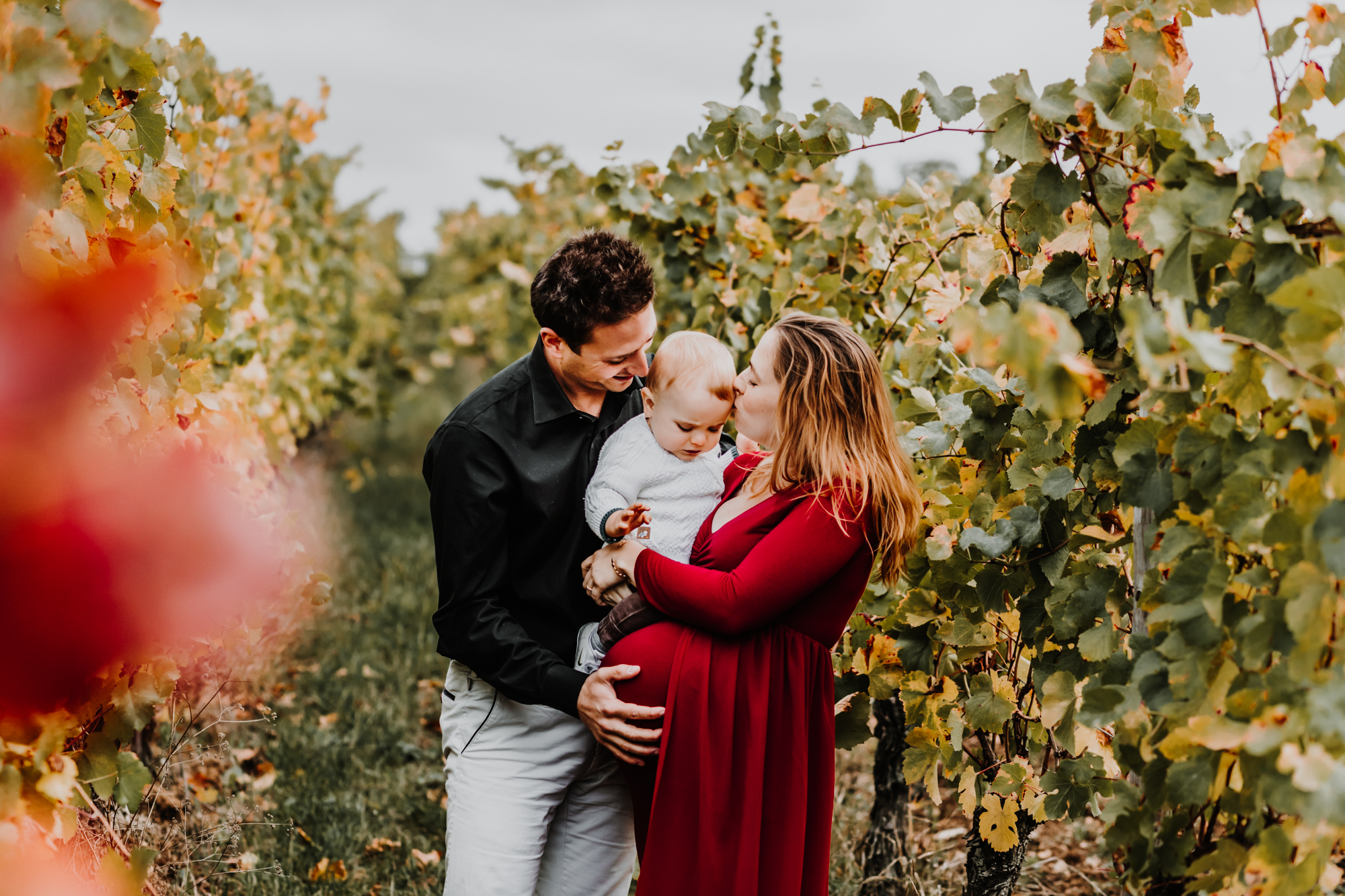 une famille et une femme enceinte porte et embrasse le bébé dans les vignes en automne