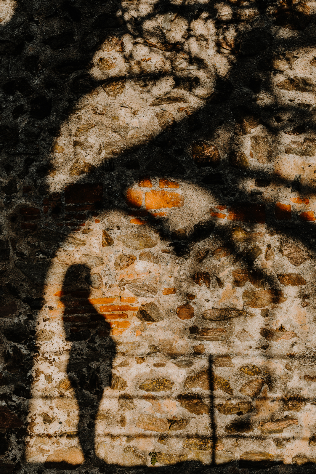 ombre d'une femme enceinte de profil sous un arbre projetée sur un mur en pierres