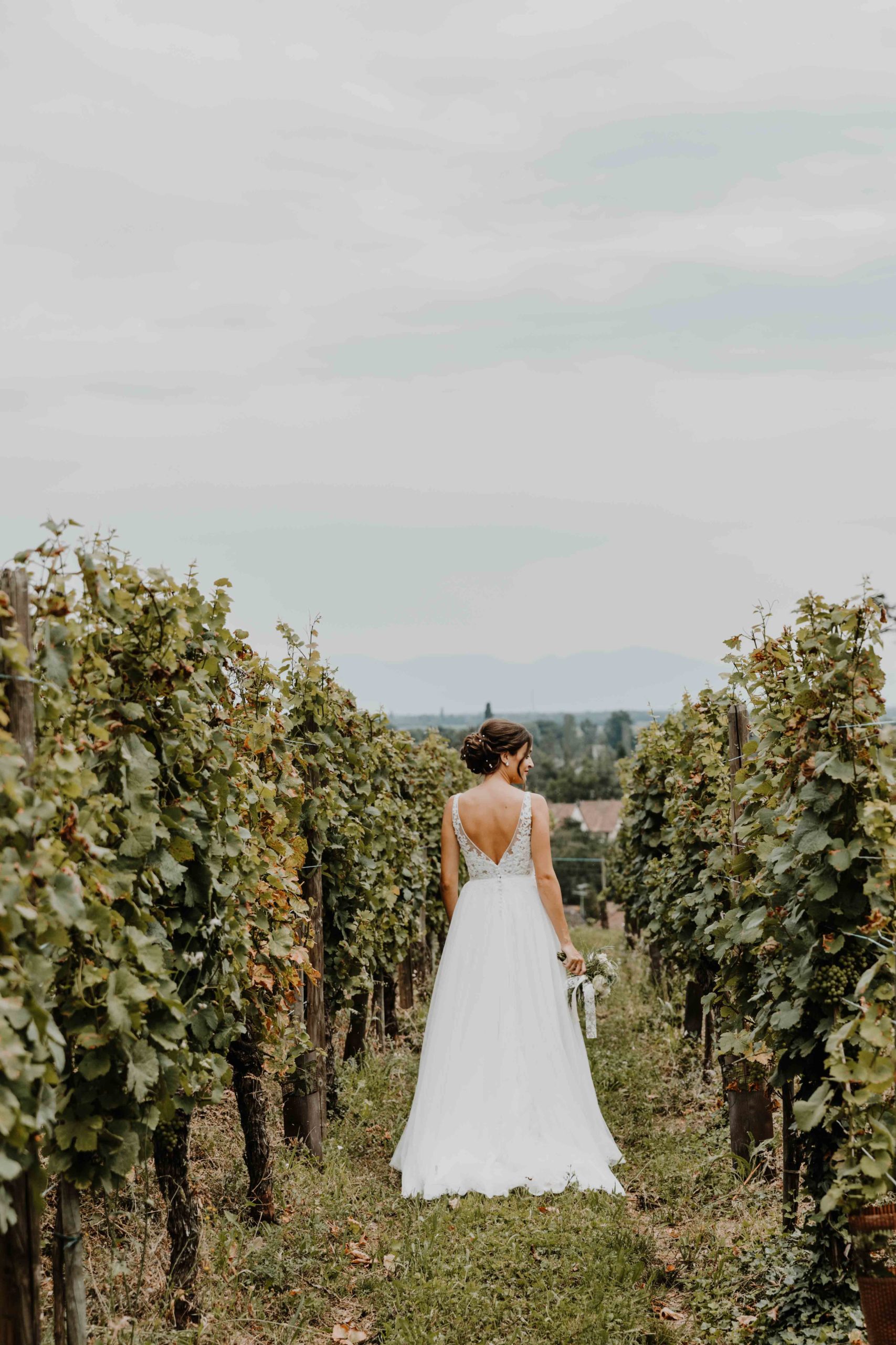 la mariée marche dans les vignes