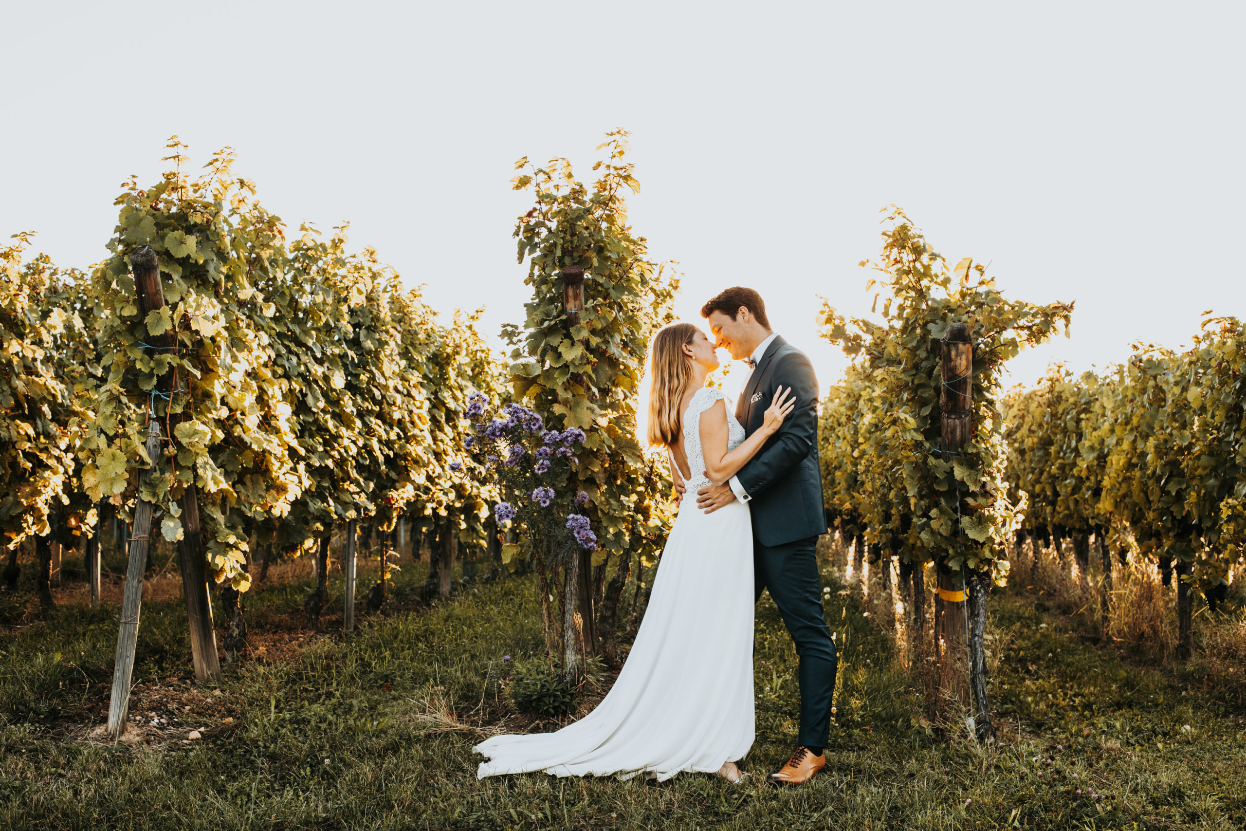les mariés s'embrassent dans les vignes au coucher du soleil