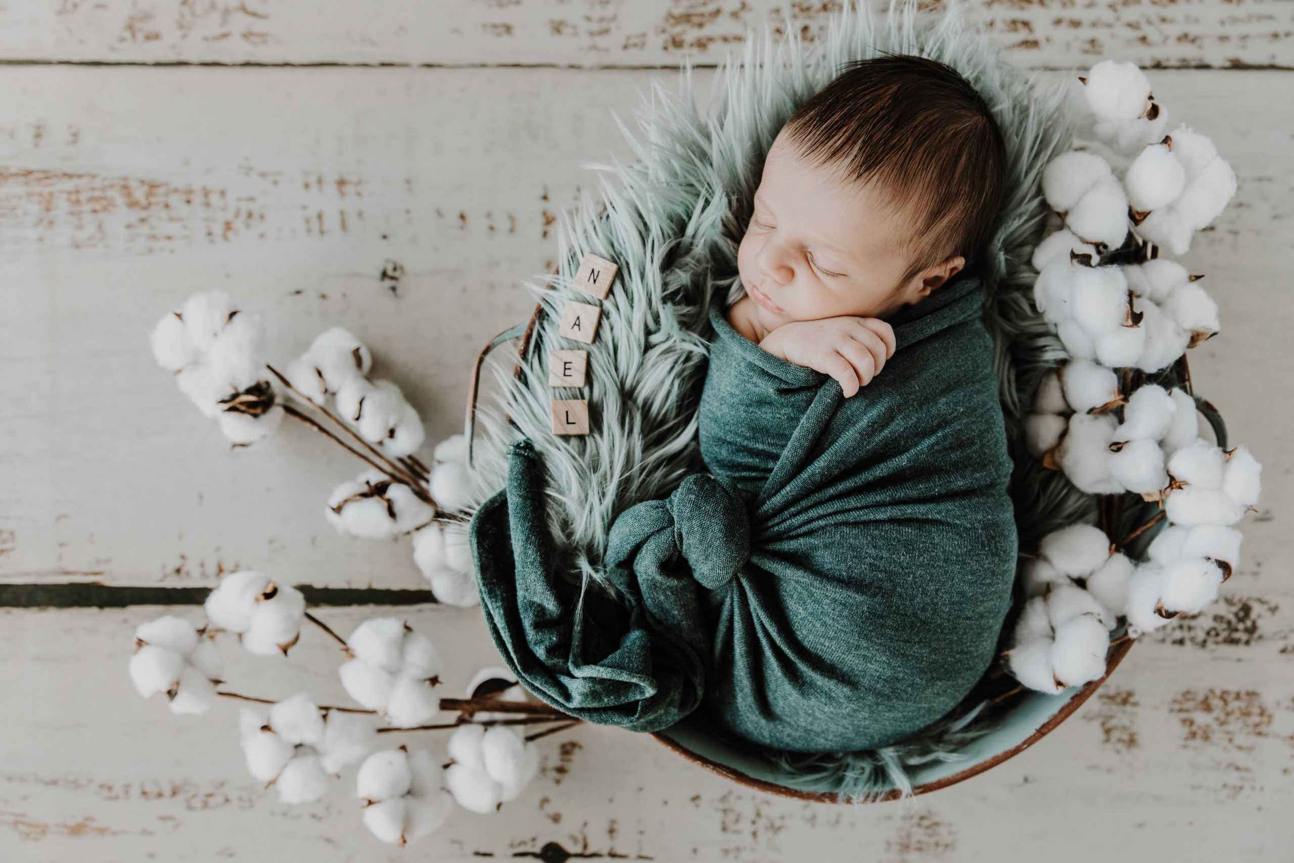 bébé endormi dans une bassine en métal entour de fleurs de coton