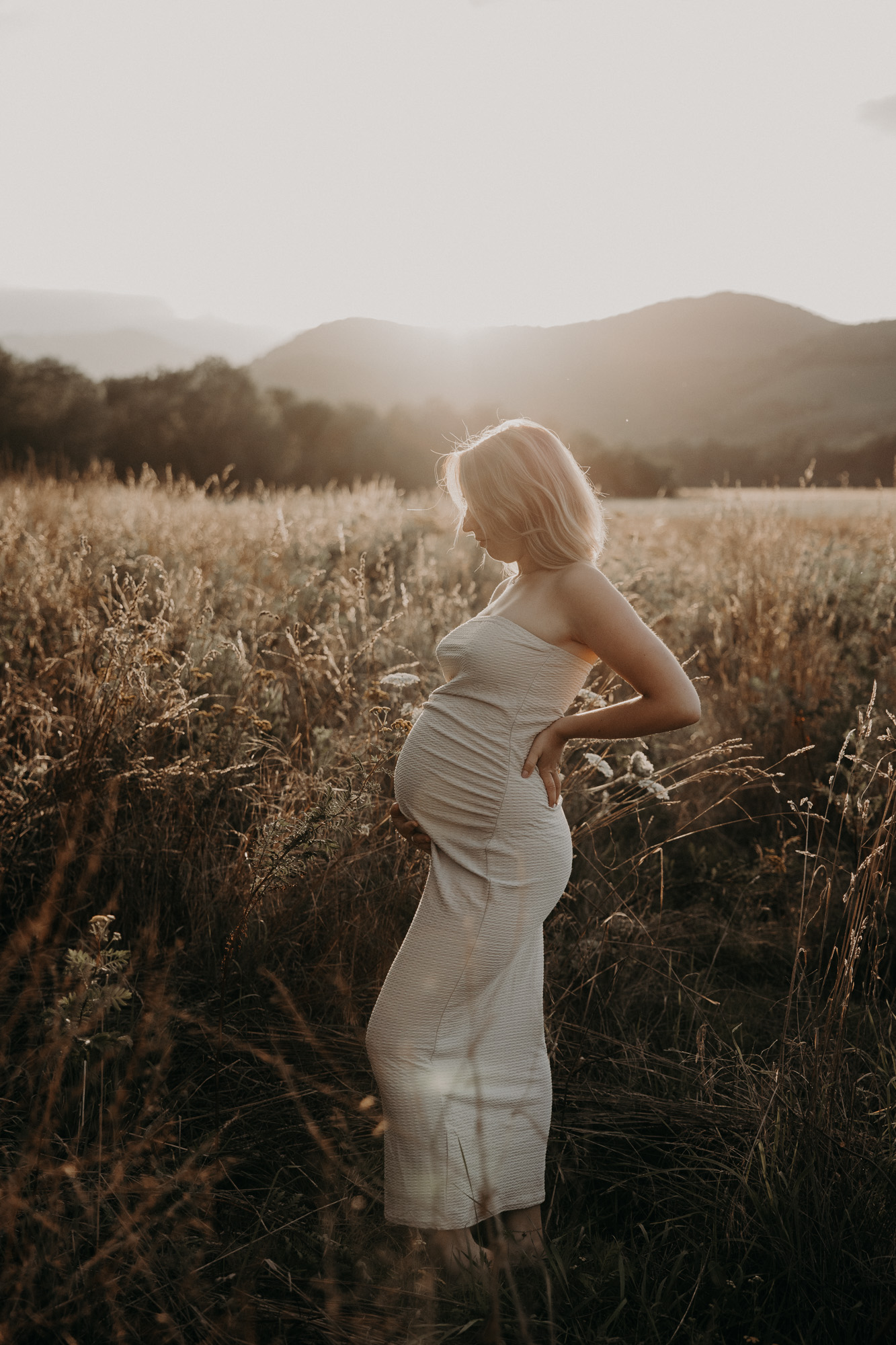 femme enceinte au coucher du soleil dans u champs d'herbes folles