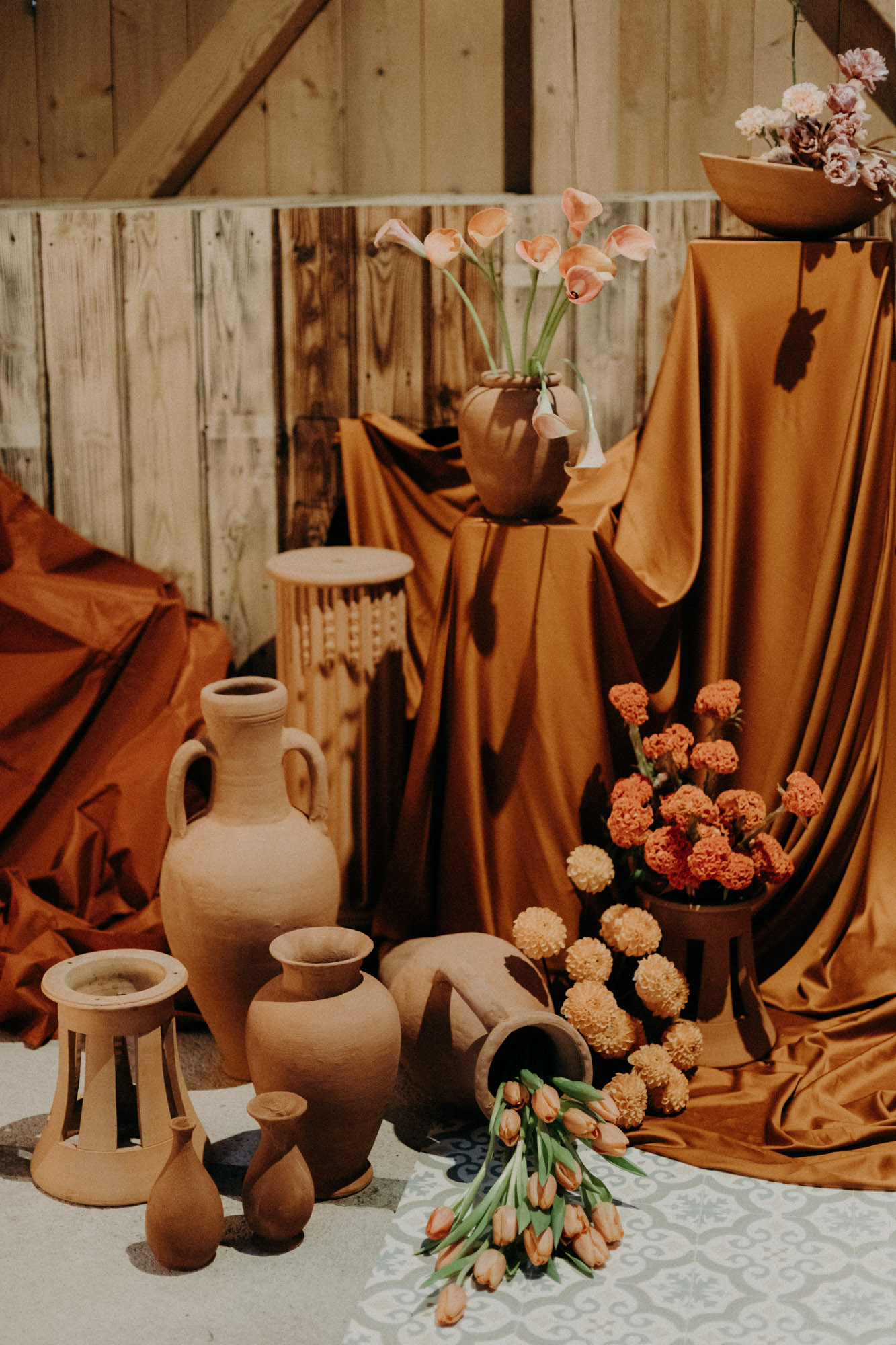 alliances sur un corail 